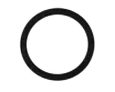 Precision Glassblowing - O-ring for Crossflow Nebulizer - 750-93 - Click Image to Close